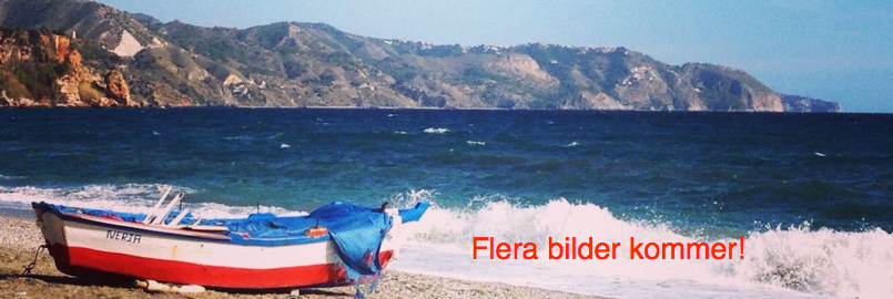 Flerabilder